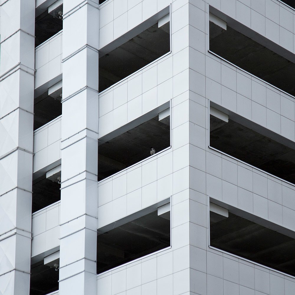 Photograph by Александра Чернова