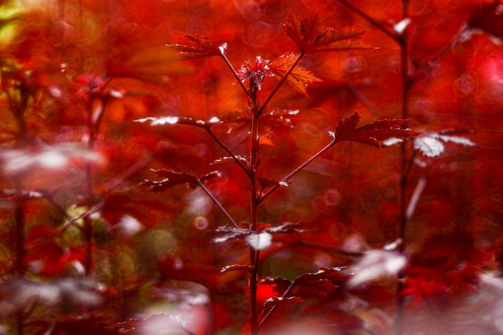 Photograph by Sergey Uskov