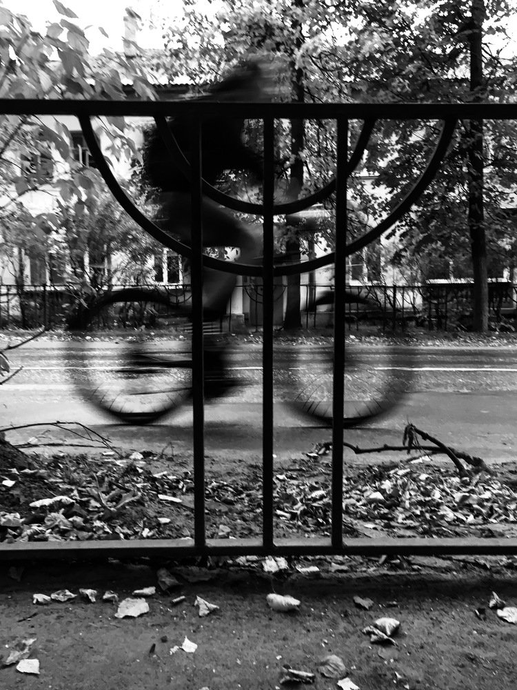 Photograph by Алексей Попов