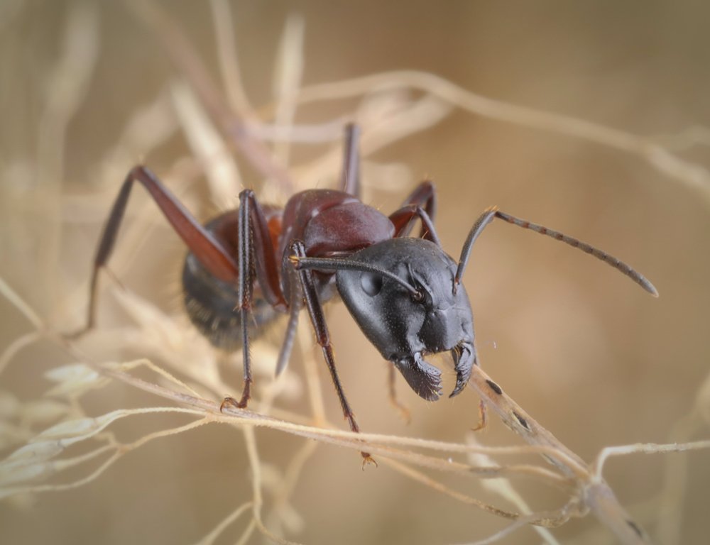 Photograph by Sebastian Koczwara