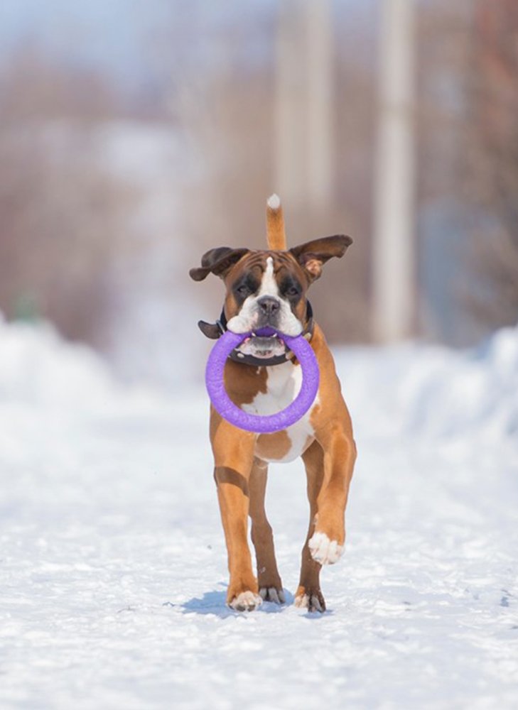 Photograph by Павел Крылов