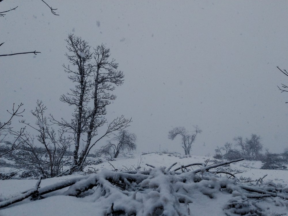 Photograph by ali yeganeh