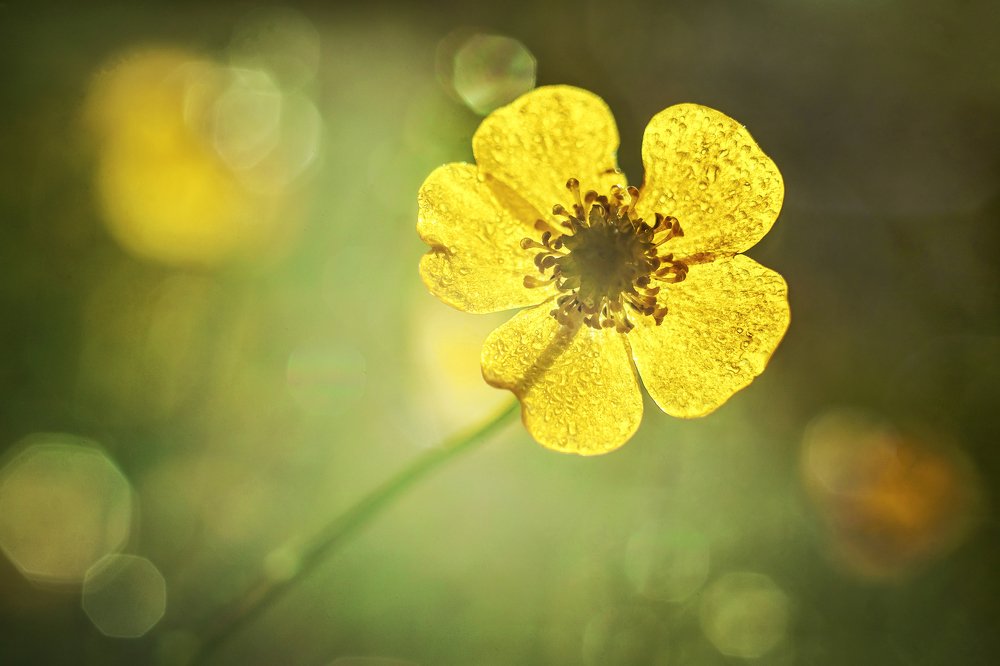 Photograph by Сергей Чирков