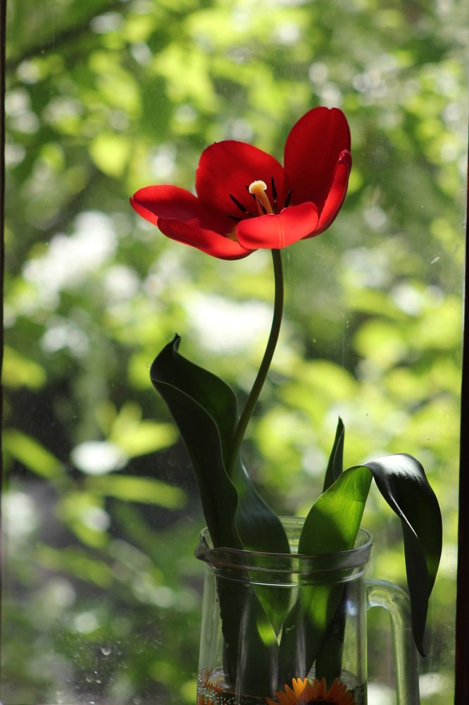 Photograph by Наталья Путилина