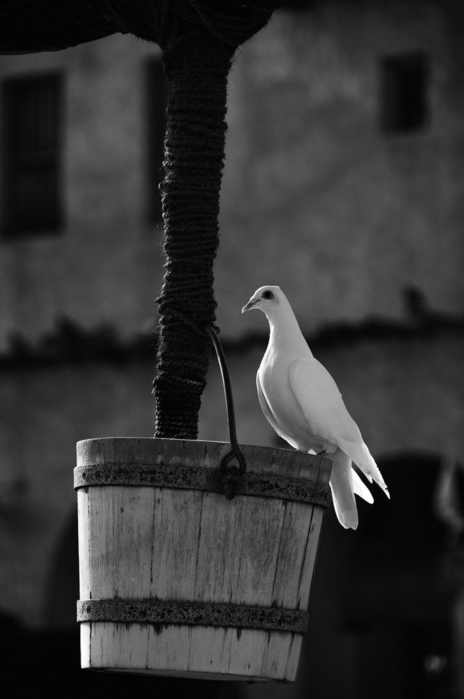 Photograph by Manjri Saxena