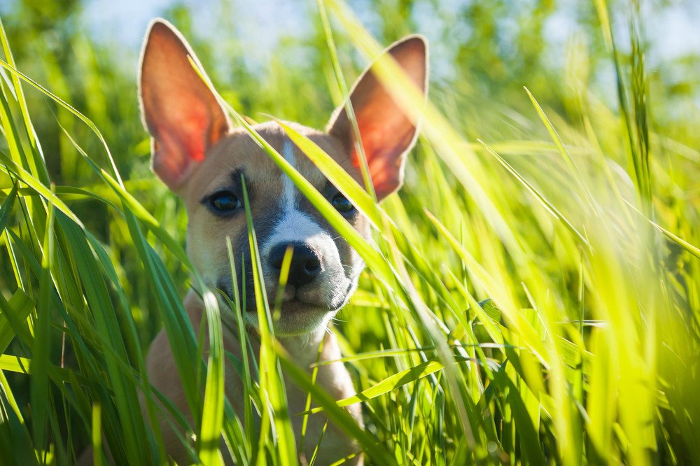 Photograph by Сергей Чирков