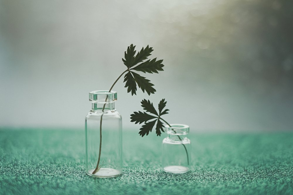 Photograph by Наталья Мищенко