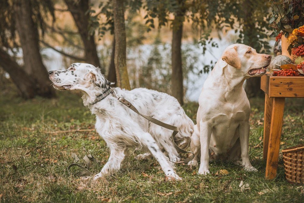 Photograph by Алексей Яковлев