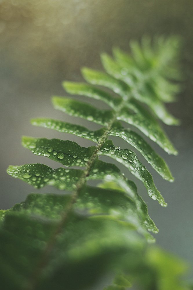 Photograph by Наталья Мищенко