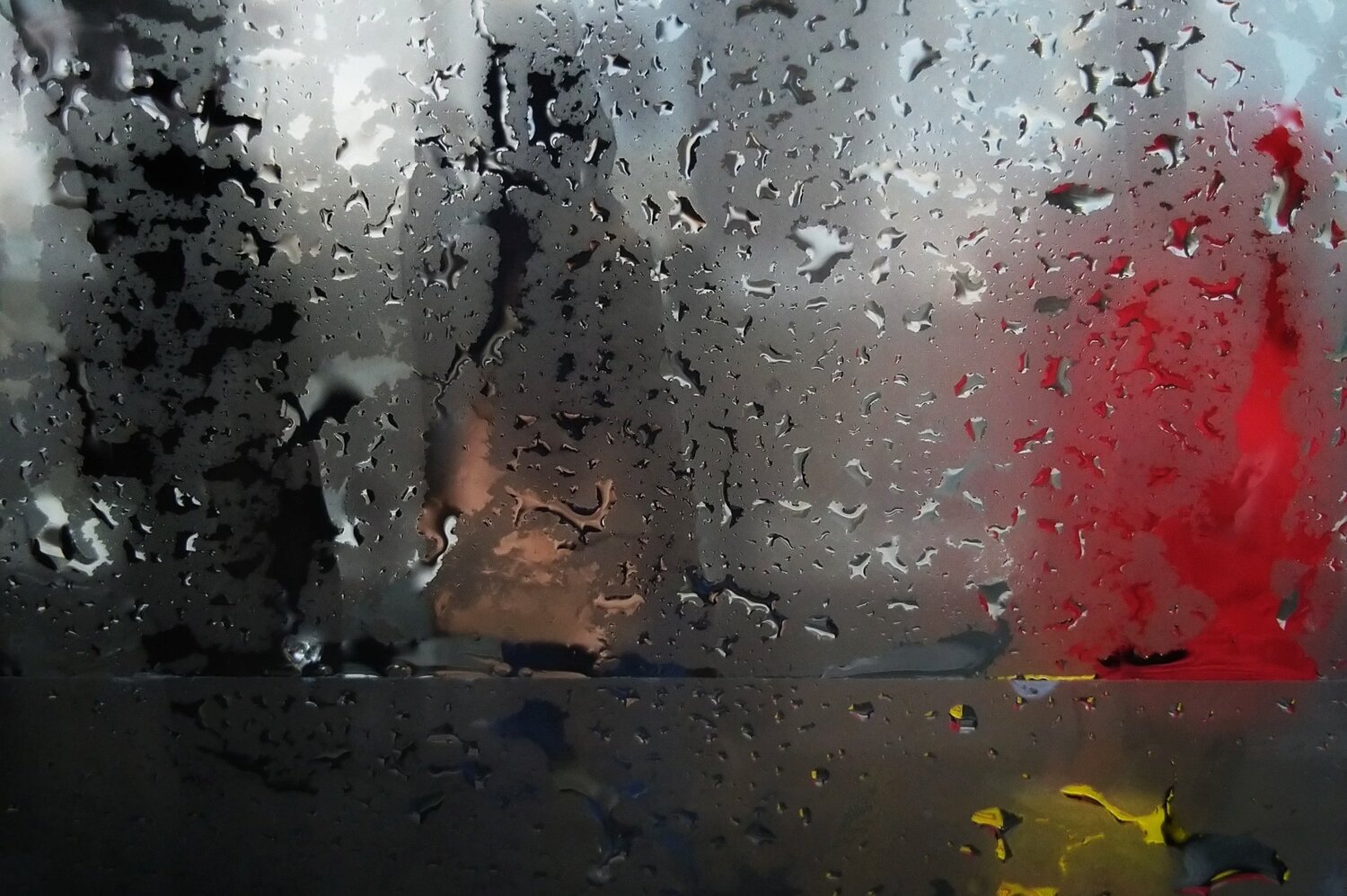 Photo #3700892