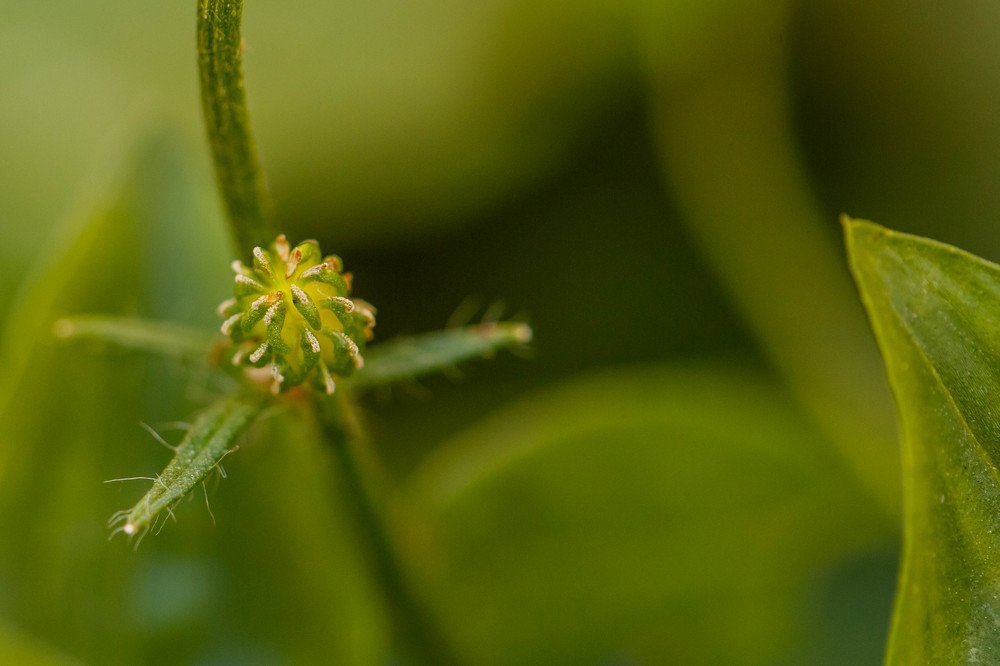 Photograph by Oana Goanga