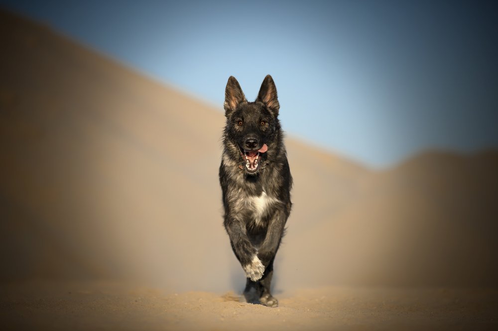 Photograph by Sara Pinotti