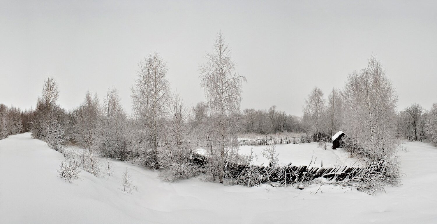 Photo #3701004