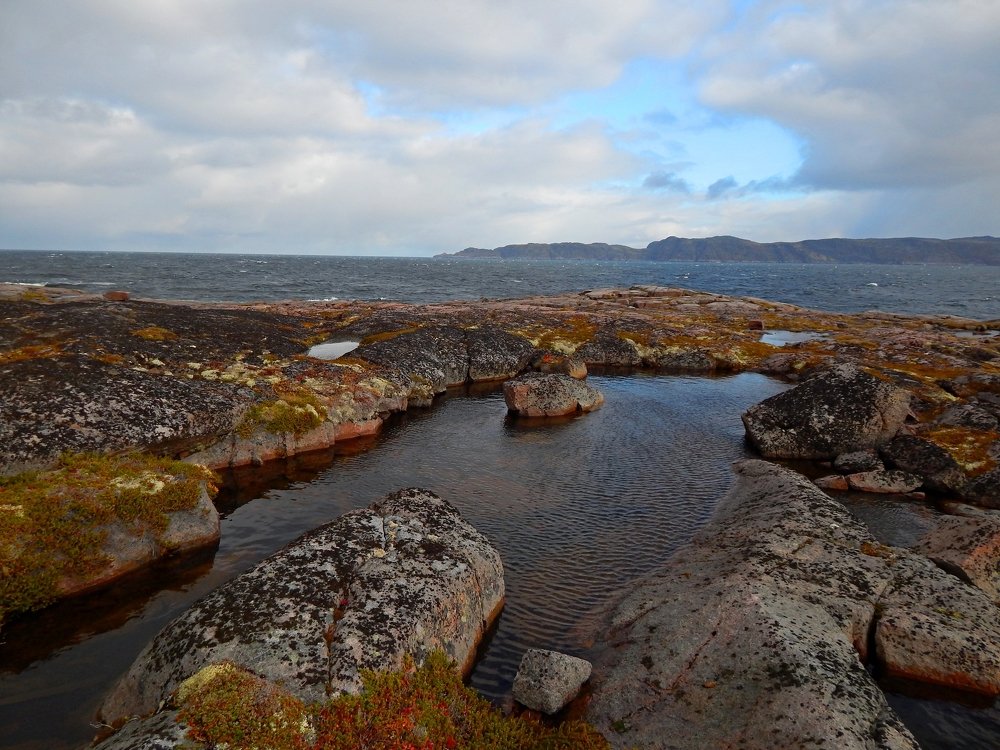 Photograph by Анастасия