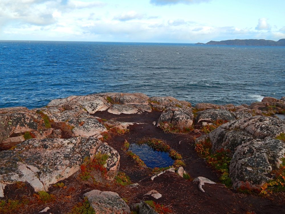 Photograph by Анастасия