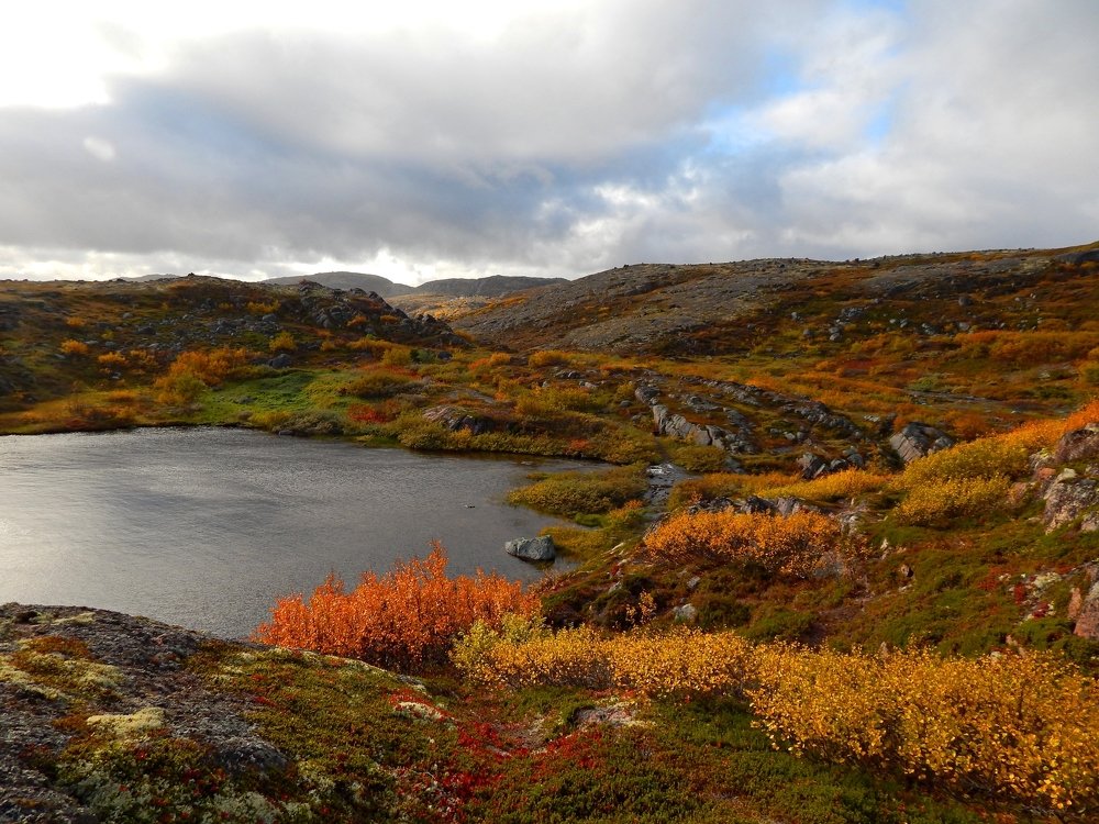 Photograph by Анастасия