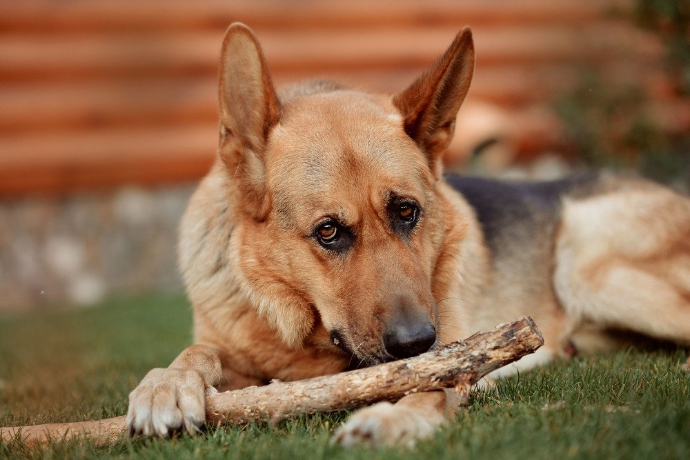 Photograph by Наталья Кошевая