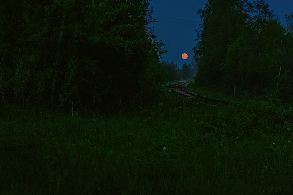 Photograph by Анастасия Ломаева