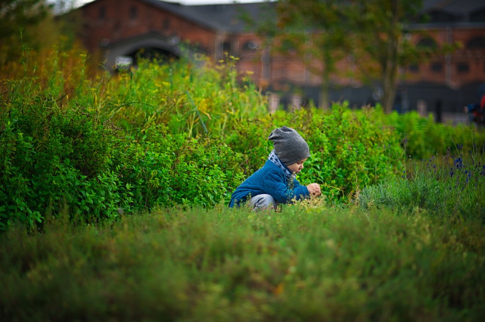 Photograph by Анастасия Ломаева