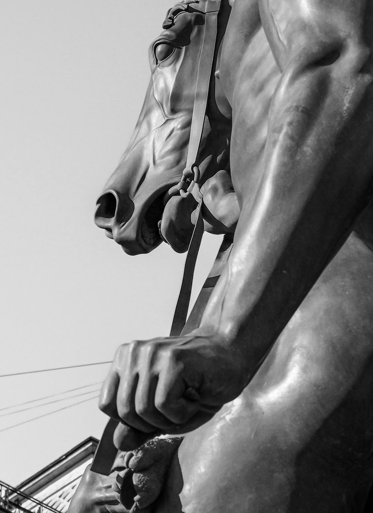 A young man taking a horse under a bridle.