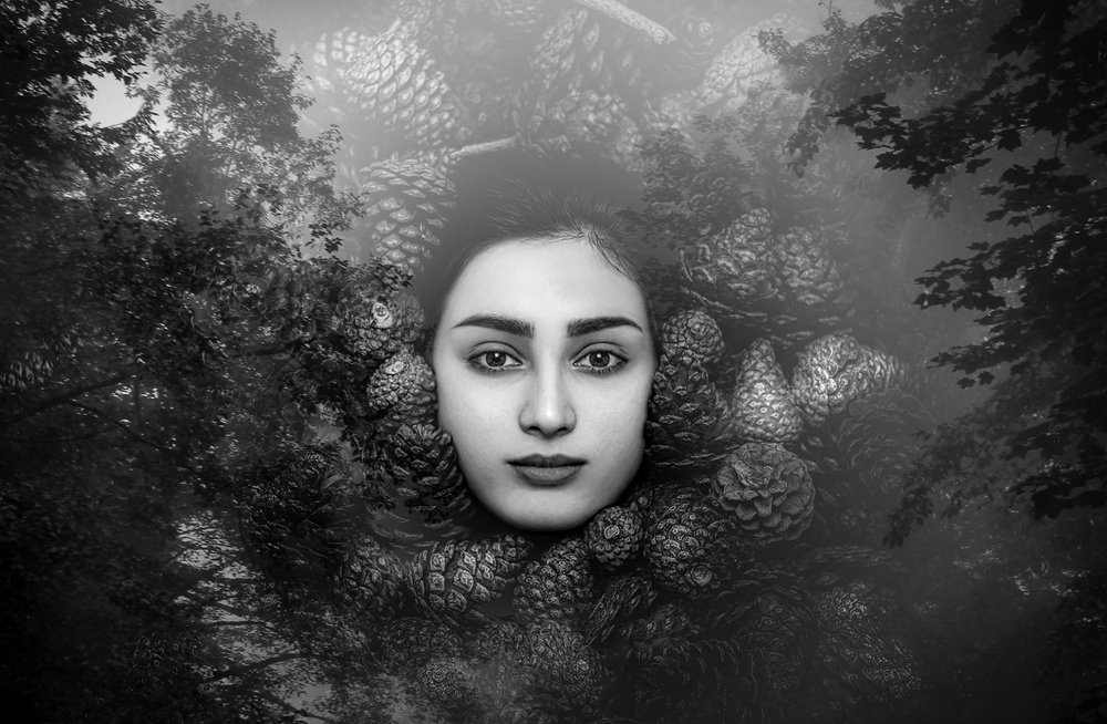 Photograph by babak mehrafshar