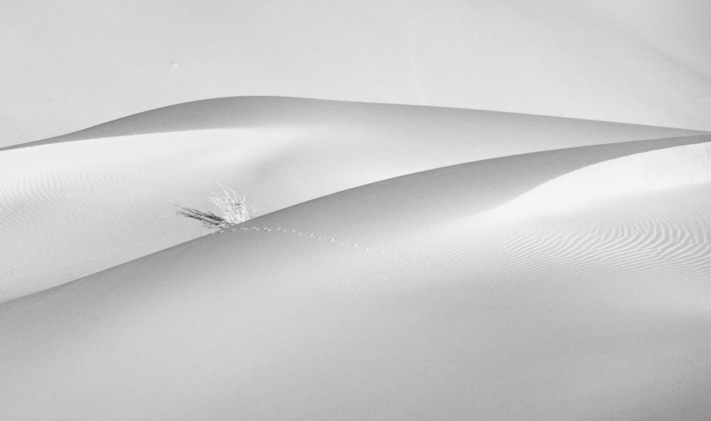 Photograph by babak mehrafshar