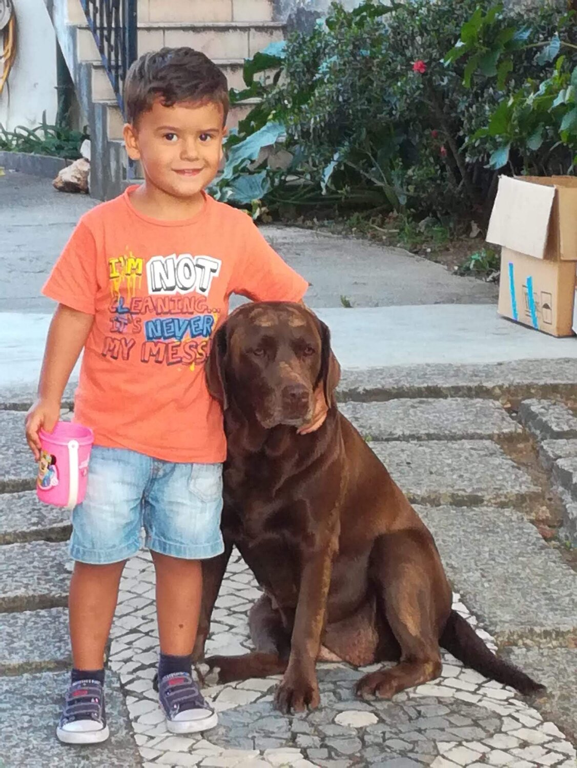Photo #3701365