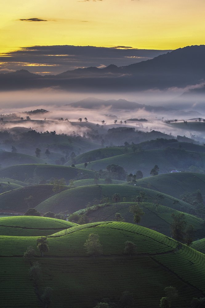 Bình minh Long Cốc