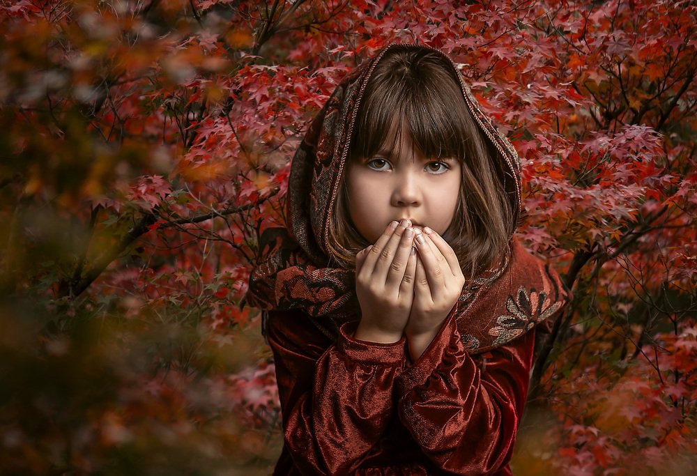 Photograph by MIKI TABATA SAUCE