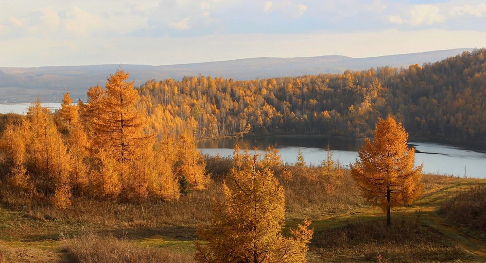 Золотые краски осени. Озеро Круглое.