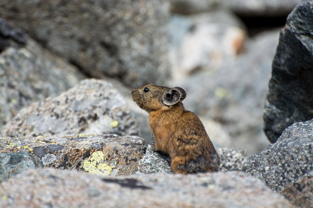 Photograph by Евгений Антонов