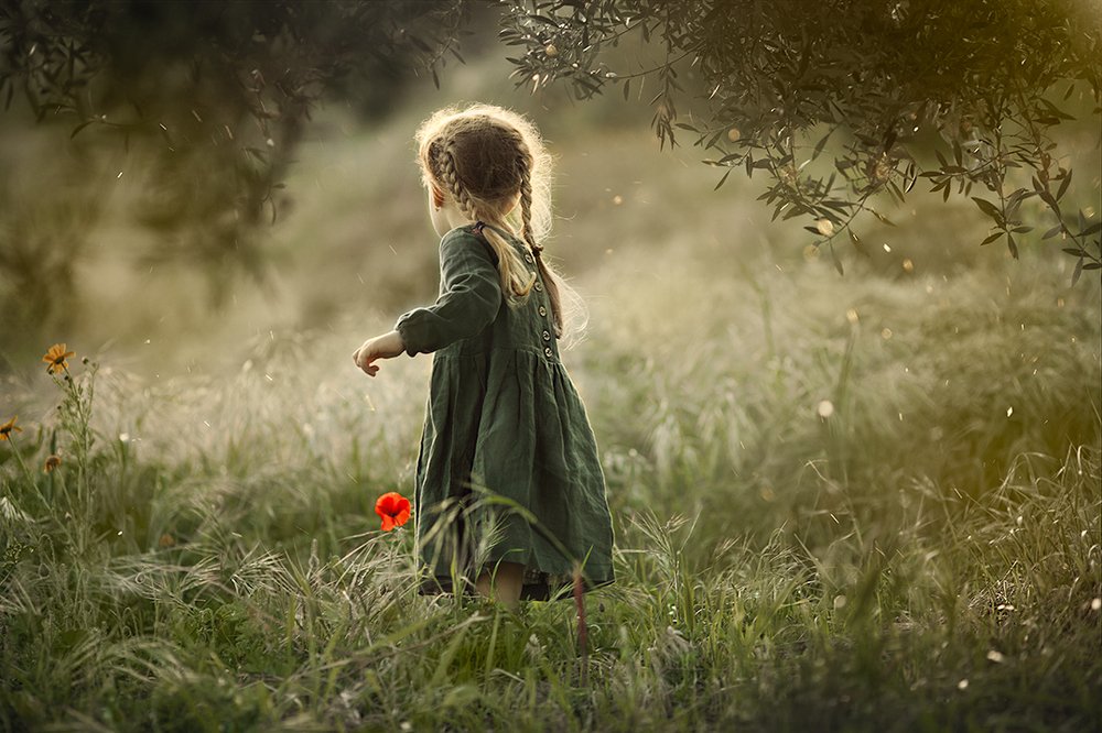 Аленький цветочек