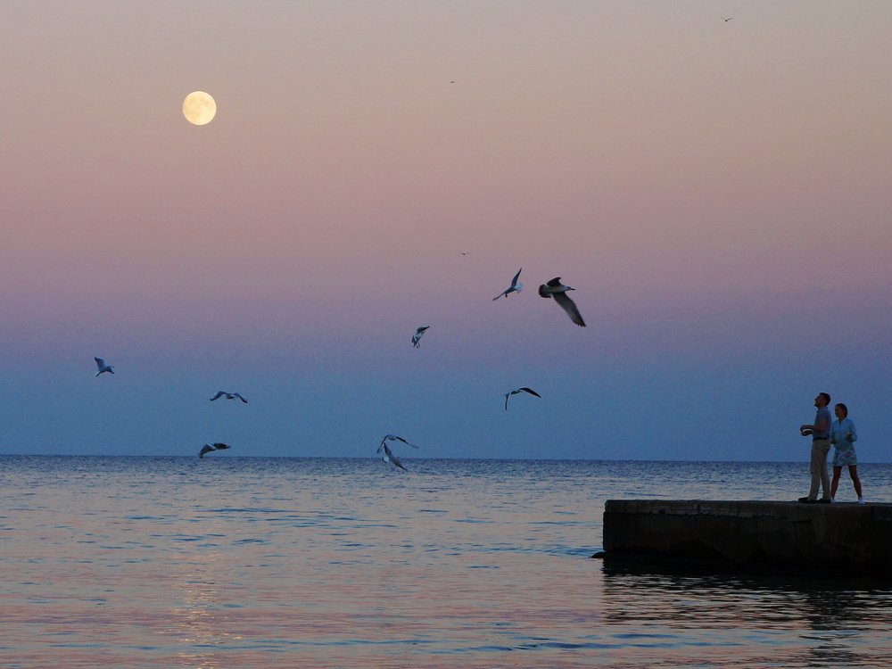 Аркадия, Одесса...