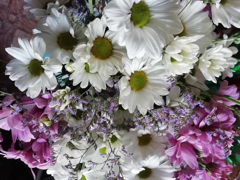 Photograph by Светлана Демченко