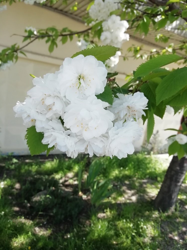 Photograph by Светлана Демченко