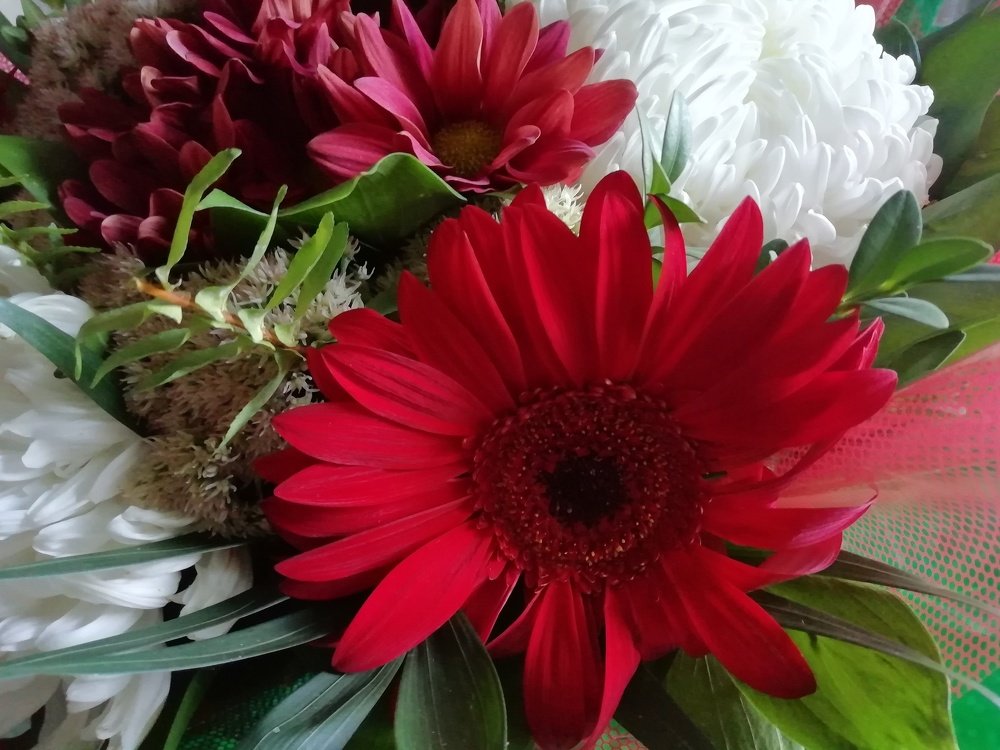 Photograph by Светлана Демченко