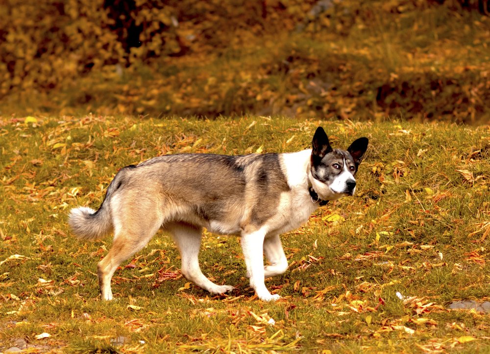 Photograph by Ольга Гаврикова