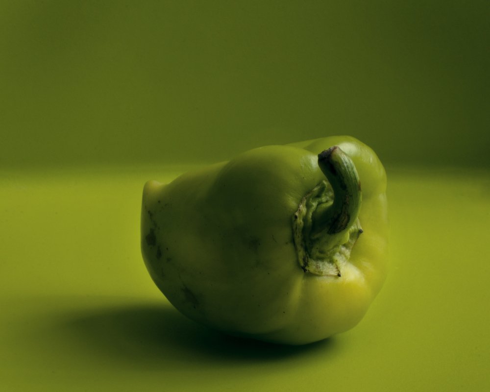 Photograph by Svetlana nagaeva