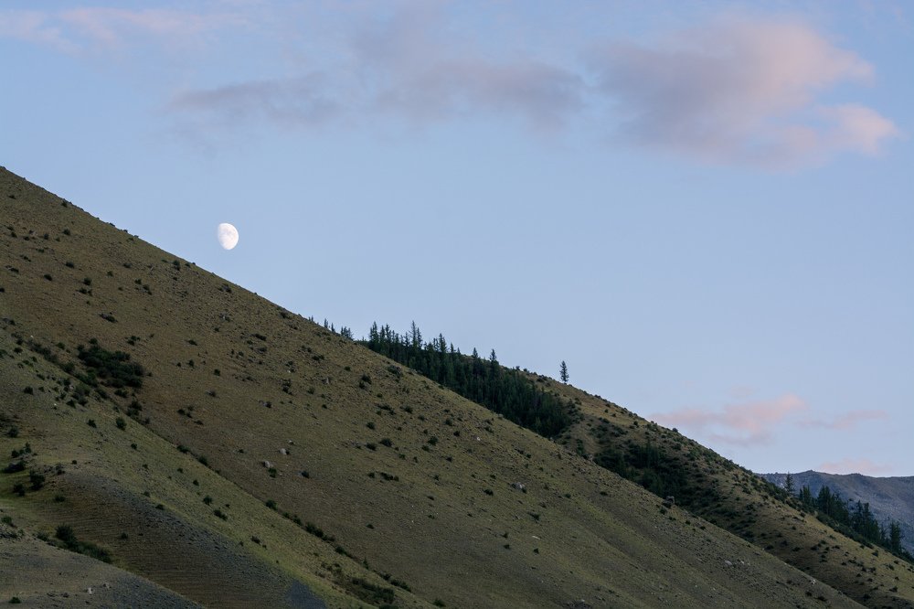 Photograph by Евгений Антонов