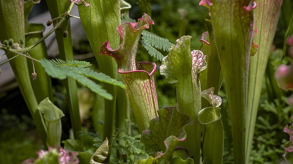 Photograph by Евгений Барзенков
