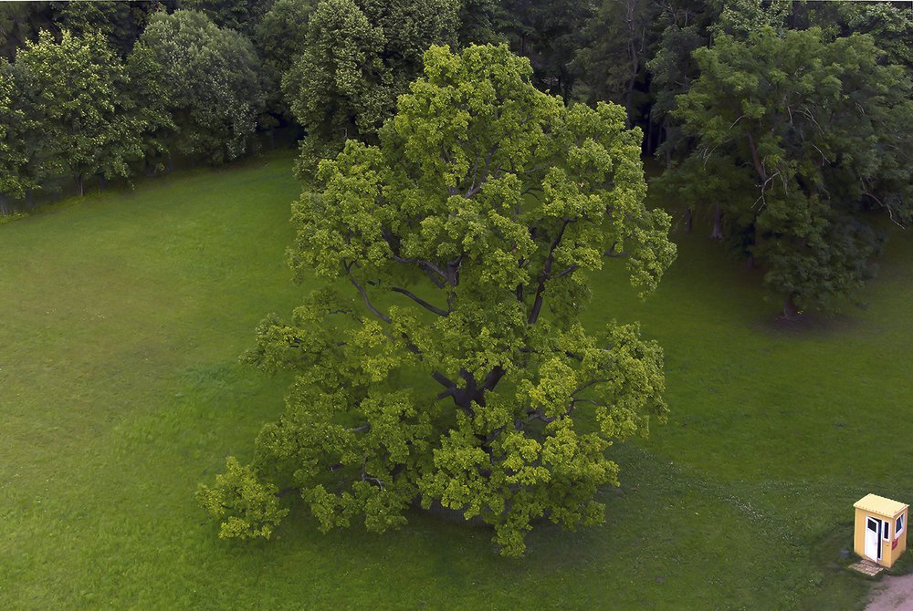 Photograph by Евгений Барзенков