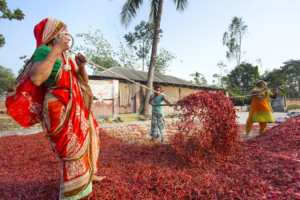 Photograph by Jahangir Alam Onuchcha