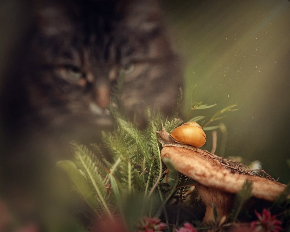 Photograph by Елена Бирюкова