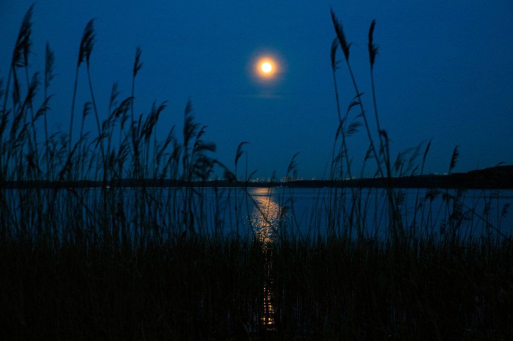 Фотография автора Гудкова Светлана