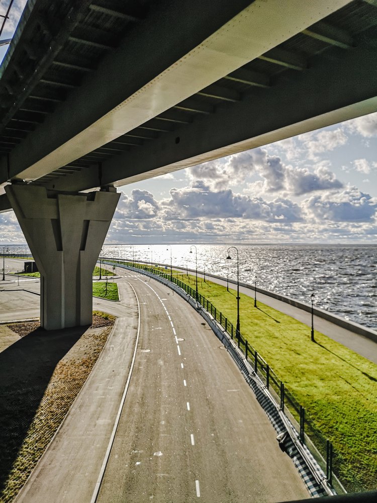 Фотография автора Юлия Сашина