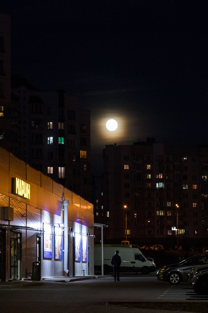 Фотография автора Гудкова Светлана