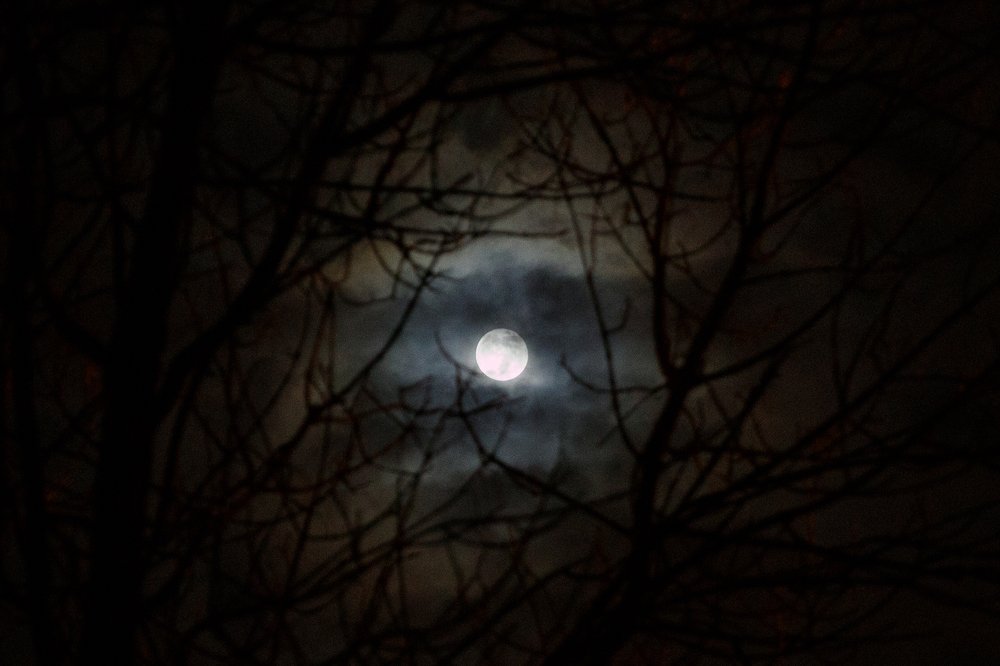 Фотография автора Гудкова Светлана