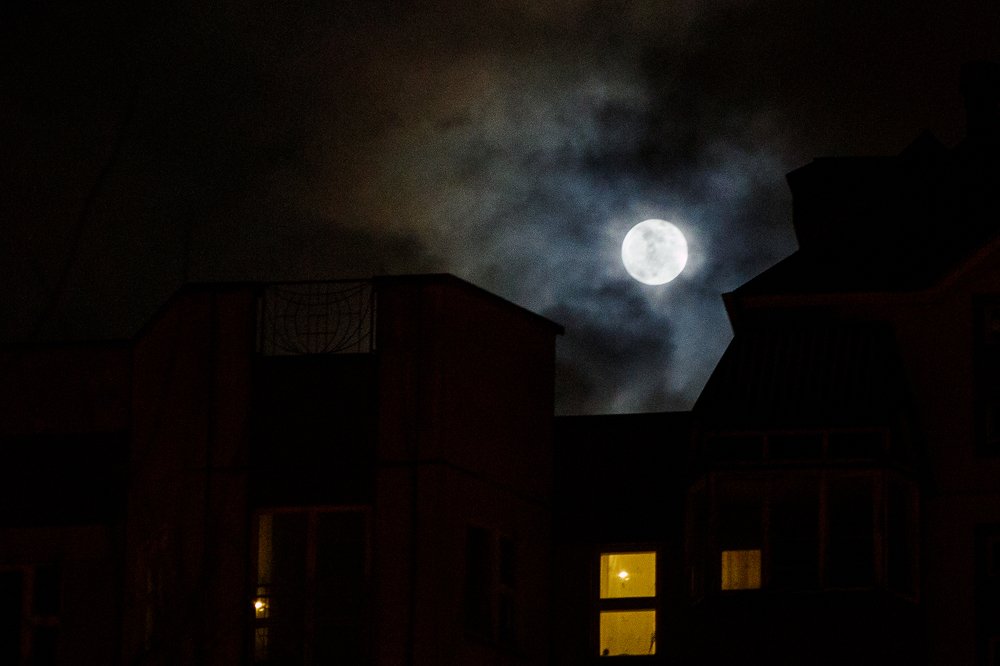 Фотография автора Гудкова Светлана