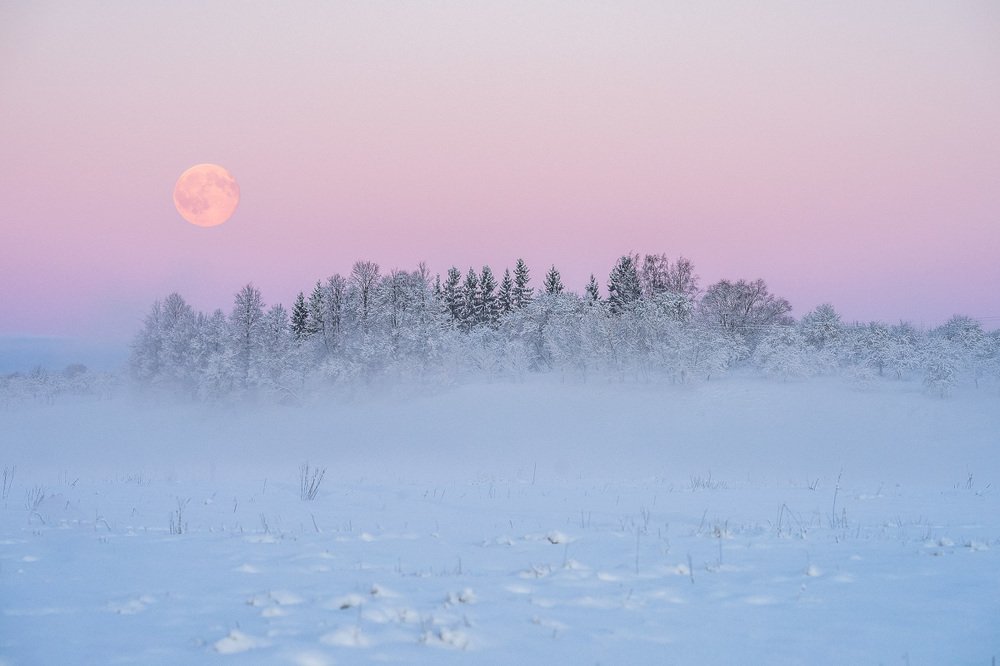 Photograph by Jānis Paļulis