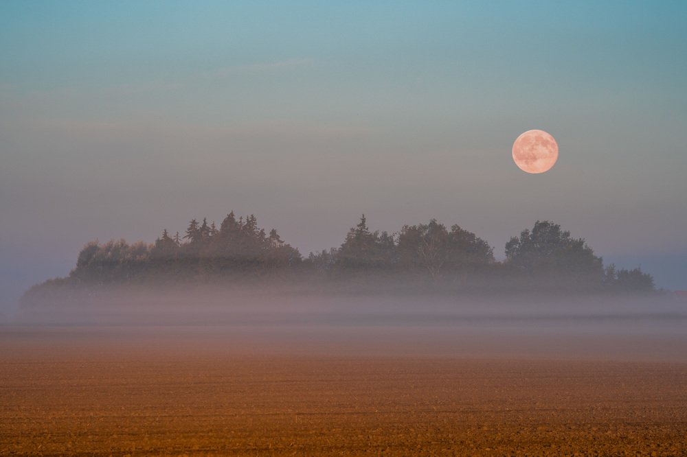 Photograph by Jānis Paļulis